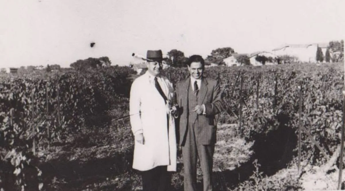 Archive photograph: two men in suits standing among rows of vines, with farm buildings behind
