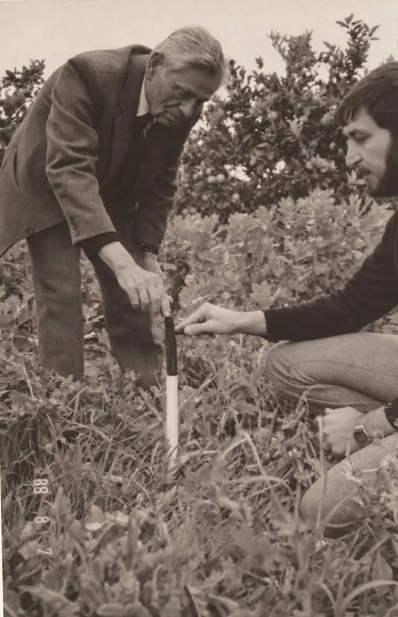 Archive photograph: two men checking a soil moisture probe among crops beside a citrus orchard